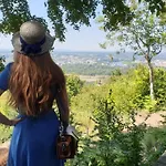 Lodge-belvedere Sur Les Hauteurs De * 维琪