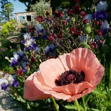 Lodge Lodge-belvedere Sur Les Hauteurs De *