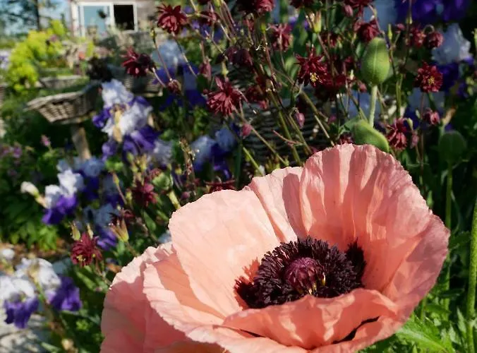 Gerendaház Lodge-belvedere Sur Les Hauteurs De *